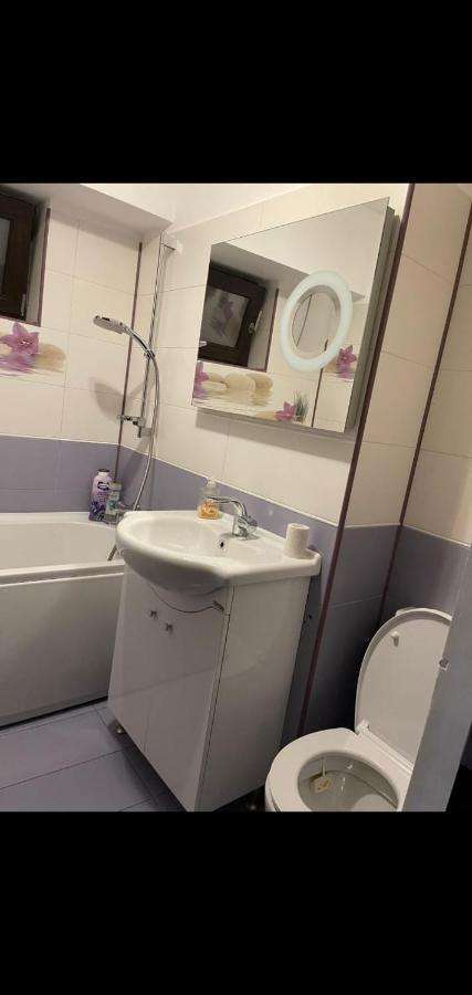 Apartament Lux Ultracentral クラヨーヴァ エクステリア 写真