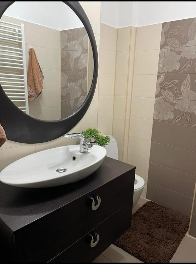 Apartament Lux Ultracentral クラヨーヴァ エクステリア 写真